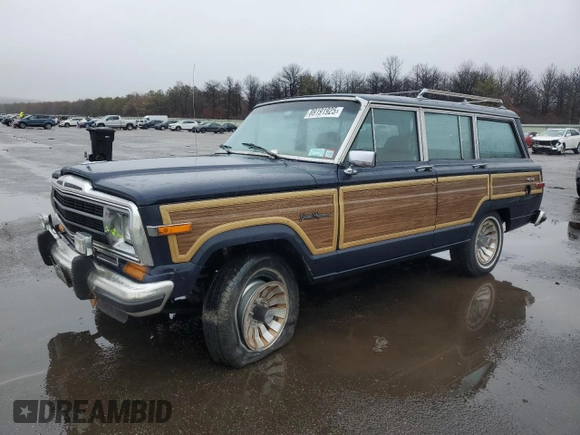 1987 Jeep Grand Wagoneer with VIN 1JCNJ15U7HT006097, listed as a Copart auction lot 89191925 with 119,168 mi miles and Salvage title. Bid and sale history available at DreamBid. Image 1.
