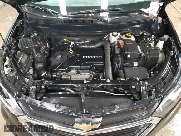 2019 Chevrolet Equinox LT with VIN 2GNAXUEV9K6121154, listed as a Copart auction lot 81939154 with 76,448 mi miles and Salvage Title. Bid and sale history available at DreamBid. Image 12.