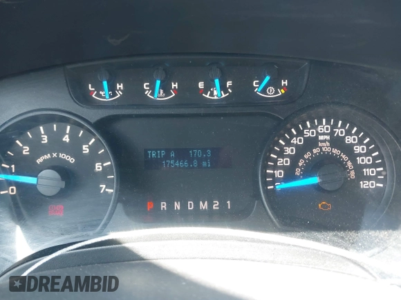 2013 Ford F-150 XL with VIN 1FTEX1EM9DFC99848, listed as a IAAI auction lot 42297022 with 175,466 mi miles and . Bid and sale history available at DreamBid. Image 7.