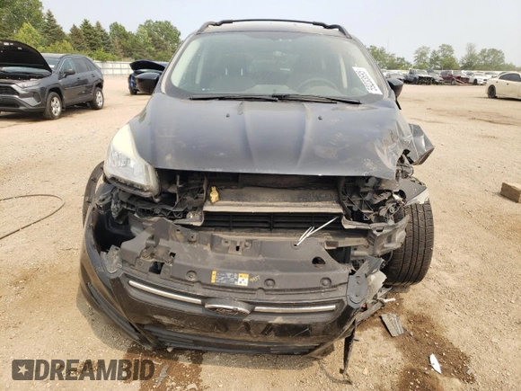 2013 Ford Escape SE with VIN 1FMCU0GXXDUA98419, listed as a Copart auction lot 59233695 with 151,615 mi miles and Salvage title. Bid and sale history available at DreamBid. Image 5.