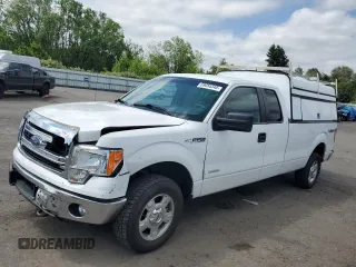 2014 Ford F-150 XL z VIN 1FTFX1ET0EKD17173, wystawiony jako Copart lot #59056345 z przebiegiem 185 804 mil mil oraz Szkoda całkowita • Salvage title. Historia ofert i sprzedaży dostępna na DreamBid. Obrazek 1.