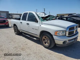 2002 Dodge 1500 with VIN 1D7HA18N02S532688, listed as a Copart auction lot 54072395 with 186,296 mi miles and Salvage title. Bid and sale history available at DreamBid. Image 4.