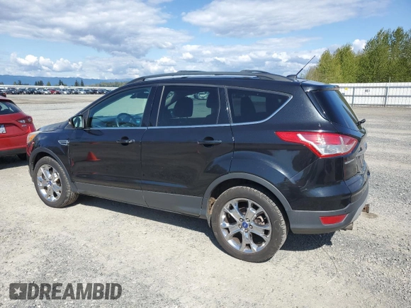 2013 Ford Escape SEL with VIN 1FMCU9H98DUA08981, listed as a Copart auction lot 54192445 with 102,151 mi miles and Salvage Title. Bid and sale history available at DreamBid. Image 2.