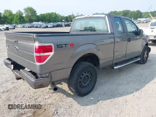 2010 Ford F-150 XL with VIN 1FTEX1E83AFD70461, listed as a IAAI auction lot 42438962 with 234,709 mi miles and . Bid and sale history available at DreamBid. Image 4.