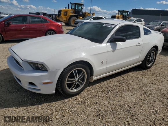 2013 Ford Mustang V6 с VIN 1ZVBP8AMXD5227772, выставлен на аукционе Copart как лот 63335095 с пробегом 145 764 миль миль и Чистый • Clean title. История ставок и продаж доступна на DreamBid. Изображение 1.
