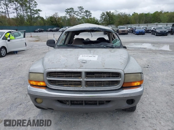 2003 Dodge Dakota SLT with VIN 1D7HL48N13S274856, listed as a IAAI auction lot 41954038 with 306,728 mi miles. Bid and sale history available at carsss.com. Image 12.