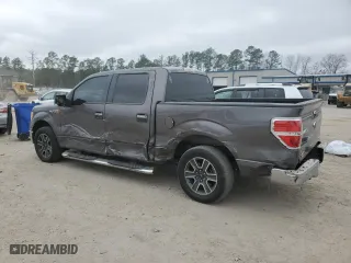 2013 Ford F-150 XL with VIN 1FTEW1CM8DKE33245, listed as a Copart auction lot 44566645 with 164,196 mi miles and Salvage Title. Bid and sale history available at carsss.com. Image 2.