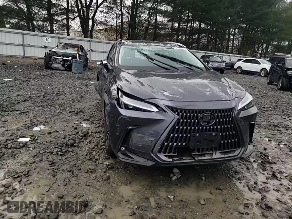 2024 Lexus NX with VIN 2T2AGCEZ4RC053310, listed as a Copart auction lot 81652604 with 10,328 mi miles and Salvage Title. Bid and sale history available at carsss.com. Image 12.