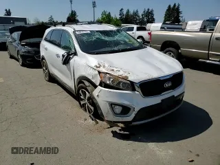 2018 Kia Sorento EX with VIN 5XYPHDA53JG397787, listed as a Copart auction lot 54276155 with 114,652 mi miles and Salvage title. Bid and sale history available at DreamBid. Image 13.