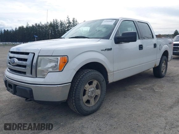 2011 Ford F-150 XL with VIN 1FTFW1EF1BFC77879, listed as a IAAI auction lot 42008883 with 258,812 mi miles. Bid and sale history available at carsss.com. Image 17.