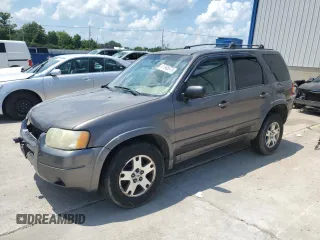 2003 Ford Escape Limited with VIN 1FMCU94143KC35157, listed as a Copart auction lot 61948575 with 287,320 mi miles and Non repairable. Bid and sale history available at DreamBid. Image 1.
