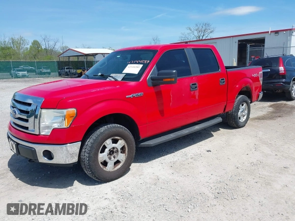 2010 Ford F-150 XL with VIN 1FTFW1EV3AKB55859, listed as a IAAI auction lot 42144289 with 261,722 mi miles. Bid and sale history available at carsss.com. Image 19.