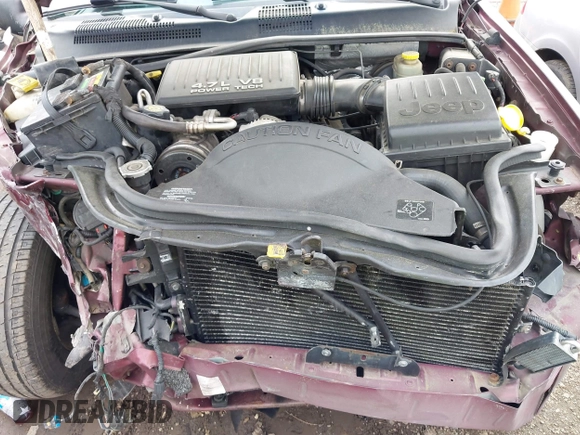 2000 Jeep Grand Cherokee Limited with VIN 1J4GW58N4YC423095, listed as a IAAI auction lot 42275933 with 135,684 mi miles and . Bid and sale history available at DreamBid. Image 10.