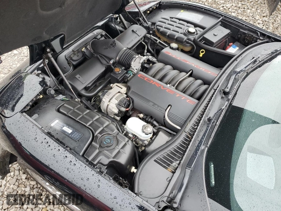 1999 Chevrolet Corvette with VIN 1G1YY22G7X5112351, listed as a Copart auction lot 56522055 with 64,573 mi miles and Salvage title. Bid and sale history available at DreamBid. Image 11.