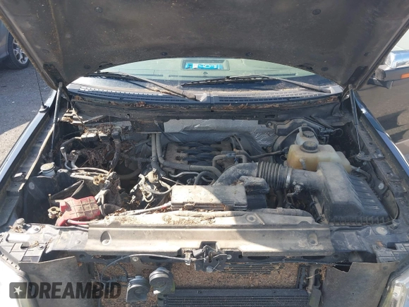 2011 Ford F-150 XL with VIN 1FTFW1EF6BFA17347, listed as a IAAI auction lot 42109380 with 74,931 mi miles and . Bid and sale history available at DreamBid. Image 10.