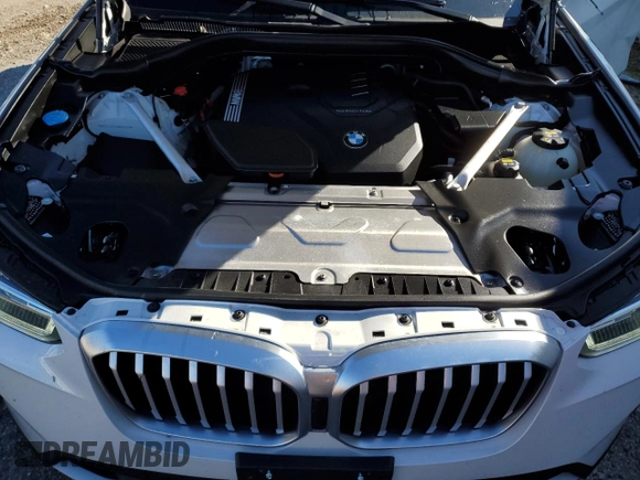 2022 BMW X3 sDrive30i with VIN WBX47DP0XNN186069, listed as a Copart auction lot 87093994 with 22,205 mi miles and Salvage Title. Bid and sale history available at DreamBid. Image 12.