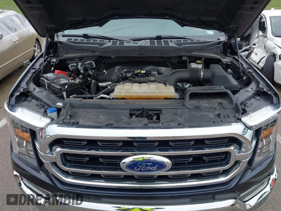 2021 Ford F-150 XL with VIN 1FTEW1EP7MKE40582, listed as a IAAI auction lot 42415827 with 66,579 mi miles and . Bid and sale history available at DreamBid. Image 10.