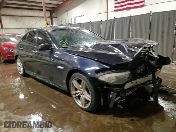 2013 BMW 5 Series 550i xDrive with VIN WBAFU9C5XDDY71476, listed as a Copart auction lot 49231685 with 165,909 mi miles and Salvage Title. Bid and sale history available at carsss.com. Image 14.