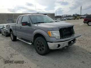 2010 Ford F-150 XL with VIN 1FTFX1EV0AFD15024, listed as a Copart auction lot 45851565 with 164,712 mi miles and Salvage Title. Bid and sale history available at DreamBid. Image 11.