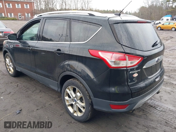 2014 Ford Escape Titanium with VIN 1FMCU9J99EUD38866, listed as a IAAI auction lot 42052579 with 202,337 mi miles. Bid and sale history available at carsss.com. Image 3.