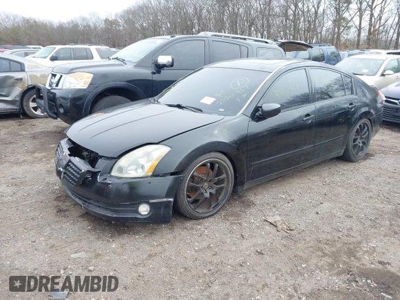 2005 Nissan Maxima SL with VIN 1N4BA41E25C842647, listed as a IAAI auction lot 41851824 with Not provided miles and . Bid and sale history available at DreamBid. Image 2.
