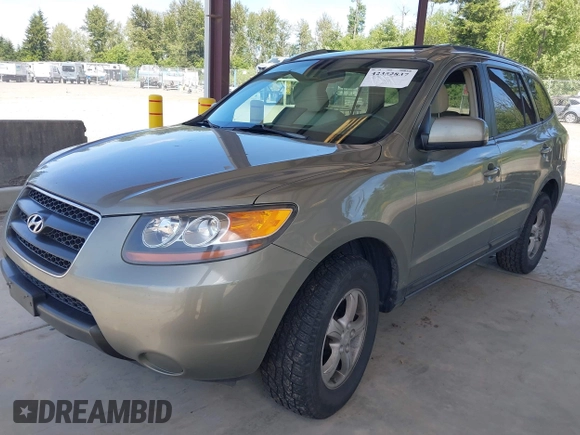 2007 Hyundai Santa Fe GLS с VIN 5NMSG73D87H065488, выставлен на аукционе IAAI как лот 42352837 с пробегом 209 900 миль миль и . История ставок и продаж доступна на DreamBid. Изображение 17.