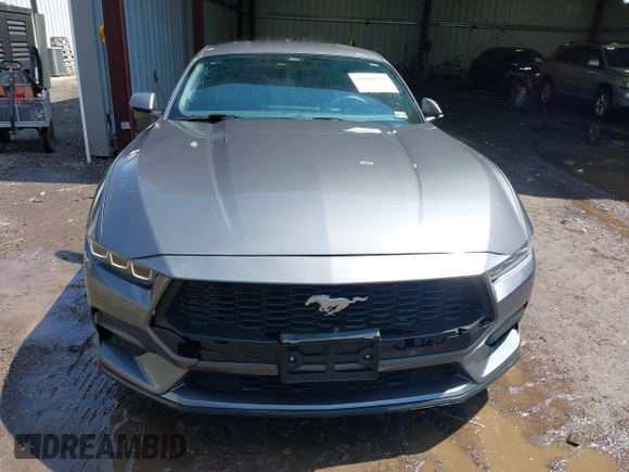 2024 Ford Mustang EcoBoost with VIN 1FA6P8TH7R5138548, listed as a IAAI auction lot 41948779 with 10,761 mi miles. Bid and sale history available at carsss.com. Image 13.