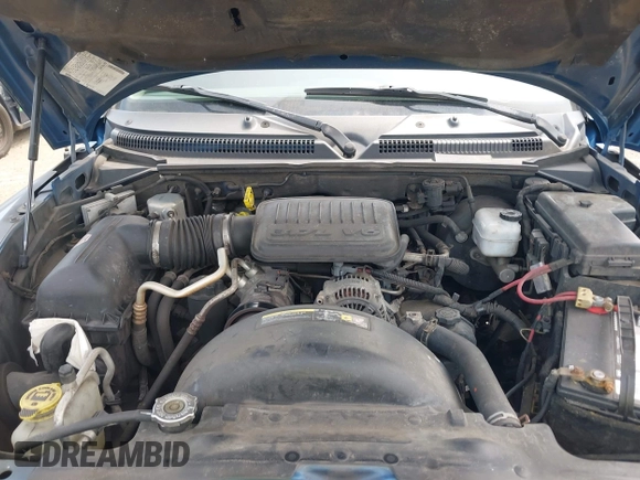 2005 Dodge Dakota ST with VIN 1D7HE22K45S337576, listed as a IAAI auction lot 42334503 with 168,350 mi miles and . Bid and sale history available at DreamBid. Image 10.
