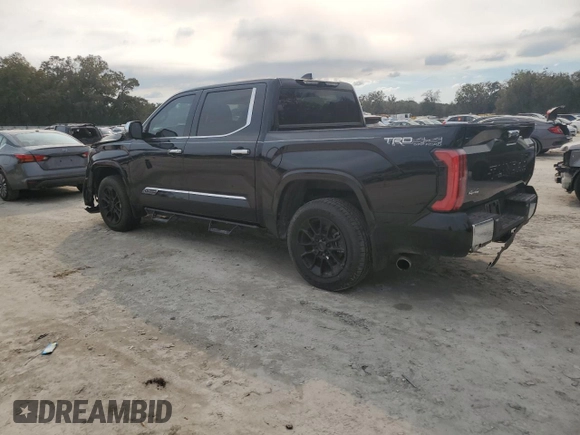 2024 Toyota Tundra 1794 Edition with VIN 5TFMC5DB1RX045003, listed as a Copart auction lot 46123005 with 16,881 mi miles and Salvage title. Bid and sale history available at DreamBid. Image 2.