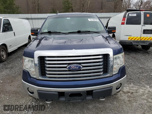 2010 Ford F-150 XL with VIN 1FTEX1E81AFB18871, listed as a Copart auction lot 51140165 with 163,462 mi miles and Clean Title. Bid and sale history available at carsss.com. Image 5.