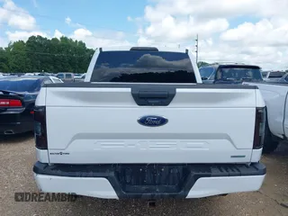 2019 Ford F-150 XL with VIN 1FTEW1CP7KKE29338, listed as a IAAI auction lot 42256391 with Not provided miles and . Bid and sale history available at DreamBid. Image 14.