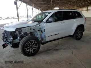 2020 Jeep Grand Cherokee Trailhawk with VIN 1C4RJFLGXLC400313, listed as a Copart auction lot 53649565 with 51,717 mi miles and Salvage title. Bid and sale history available at DreamBid. Image 1.