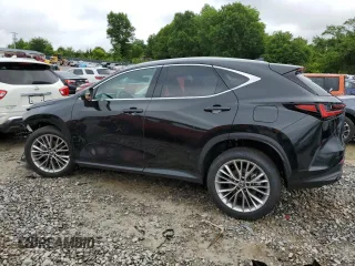 2025 Lexus NX 350 Premium with VIN 2T2GGCEZ0SC083565, listed as a Copart auction lot 58408165 with 1,012 mi miles and Salvage title. Bid and sale history available at DreamBid. Image 2.