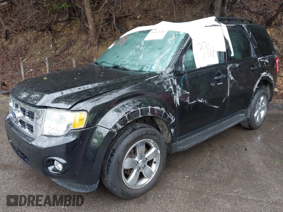 2011 Ford Escape XLT с VIN 1FMCU9DG1BKA73183, выставлен на аукционе IAAI как лот 42313916 с пробегом 96 296 миль миль и . История ставок и продаж доступна на DreamBid. Изображение 2.