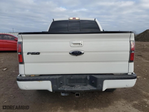 2013 Ford F-150 XL with VIN 1FTFW1ET7DFD01403, listed as a Copart auction lot 86657504 with 110,148 mi miles and Salvage Title. Bid and sale history available at carsss.com. Image 6.