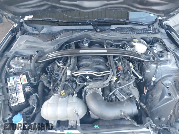 2022 Ford Mustang GT with VIN 1FA6P8CF3N5100842, listed as a IAAI auction lot 41936193 with 55,081 mi miles and . Bid and sale history available at DreamBid. Image 10.