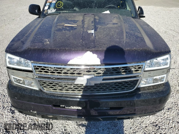 2005 Chevrolet Silverado 1500 with VIN 2GCFC13T251325270, listed as a Copart auction lot 75061414 with Not Provided miles and Salvage Title. Bid and sale history available at DreamBid. Image 12.