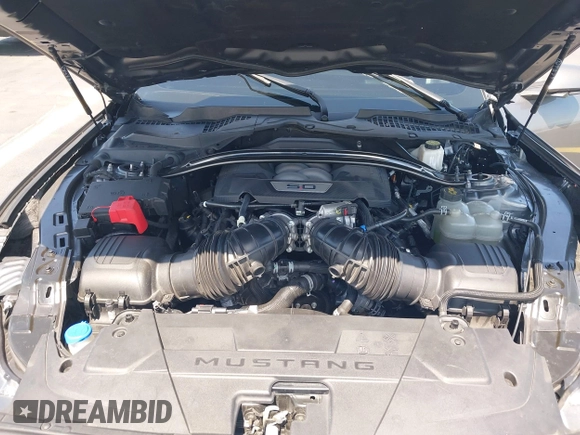 2024 Ford Mustang GT with VIN 1FA6P8CF8R5404304, listed as a IAAI auction lot 42269917 with 32,223 mi miles and . Bid and sale history available at DreamBid. Image 10.