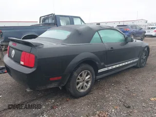 2006 Ford Mustang Standard with VIN 1ZVFT84N065190560, listed as a IAAI auction lot 41350179 with Not Provided miles and . Bid and sale history available at carsss.com. Image 4.