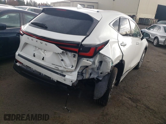 2022 Lexus NX with VIN JTJHKCEZ2N2005490, listed as a Copart auction lot 50344684 with 21,937 mi miles and Salvage Title. Bid and sale history available at carsss.com. Image 3.