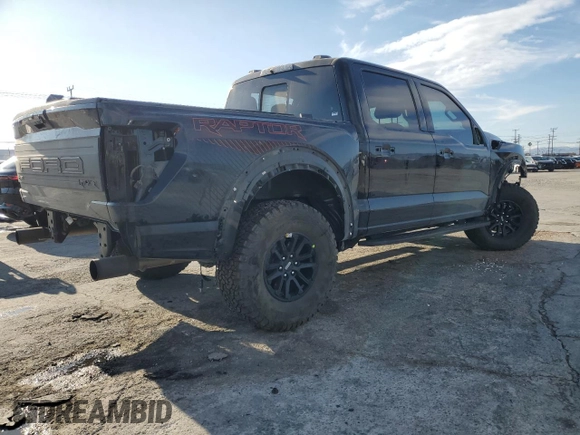 2024 Ford F-150 Raptor with VIN 1FTFW1RG3RFB11151, listed as a Copart auction lot 42825835 with 8,270 mi miles and Salvage Title. Bid and sale history available at DreamBid. Image 3.