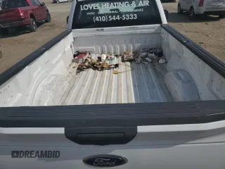 2019 Ford F-150 XL with VIN 1FTMF1CB3KKD32329, listed as a Copart auction lot 49386435 with 219,055 mi miles and Salvage Title. Bid and sale history available at carsss.com. Image 10.