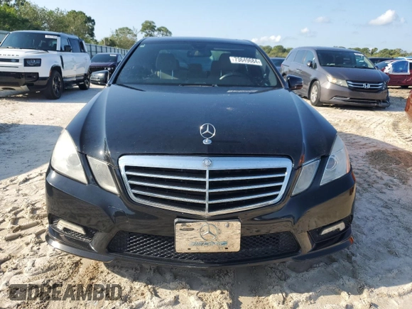 2011 Mercedes-Benz E 350 Luxury with VIN WDDHF8HBXBA420454, listed as a Copart auction lot 73649684 with Not Provided miles and Salvage Title. Bid and sale history available at DreamBid. Image 5.