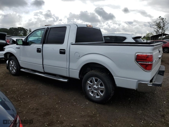 2013 Ford F-150 XL with VIN 1FTFW1CF5DFD27219, listed as a Copart auction lot 50928335 with 118,025 mi miles and Salvage Title. Bid and sale history available at carsss.com. Image 2.