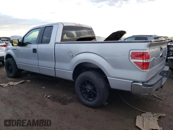 2009 Ford F-150 STX with VIN 1FTRX12859FB16932, listed as a Copart auction lot 62212774 with 365,949 mi miles and Non repairable. Bid and sale history available at DreamBid. Image 2.