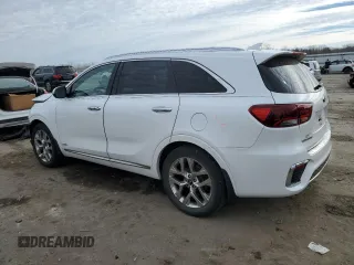 2019 Kia Sorento SX Limited with VIN 5XYPKDA55KG534456, listed as a Copart auction lot 46461045 with 65,259 mi miles and Salvage Title. Bid and sale history available at carsss.com. Image 2.