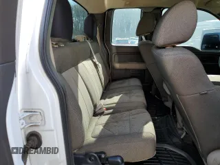 2010 Ford F-150 XL with VIN 1FTFX1CV2AFD12192, listed as a Copart auction lot 49967905 with 205,641 mi miles and Salvage Title. Bid and sale history available at DreamBid. Image 10.
