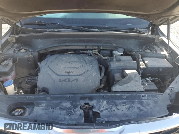 2022 Kia Telluride S with VIN 5XYP64HC7NG228310, listed as a Copart auction lot 51852855 with 64,468 mi miles and Salvage title. Bid and sale history available at DreamBid. Image 12.