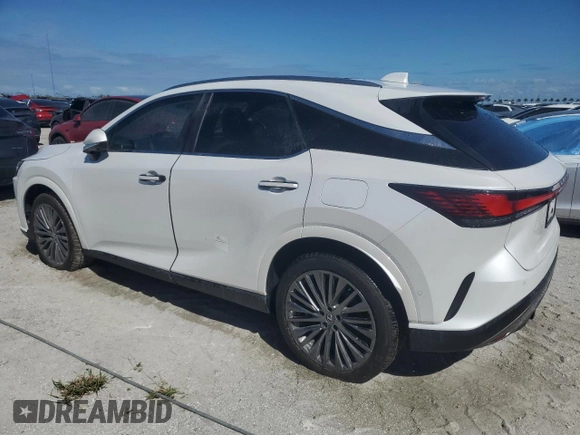 2024 Lexus RX with VIN 2T2BAMBA6RC033988, listed as a Copart auction lot 74774564 with Not Provided miles and Non Repairable. Bid and sale history available at carsss.com. Image 2.