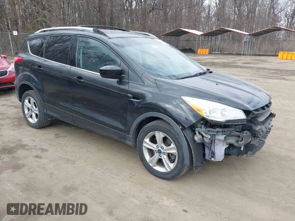 2013 Ford Escape SE with VIN 1FMCU9G95DUA03948, listed as a IAAI auction lot 41666358 with 233,187 mi miles. Bid and sale history available at carsss.com. Image 1.